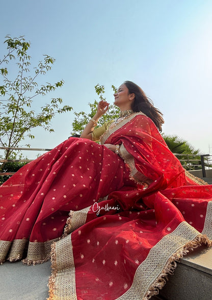 The Red - Tissue Banarasi Silk from "The Rangeen Pitara" collection