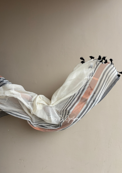 The White & Black -Striped Mulmul Cotton Saree