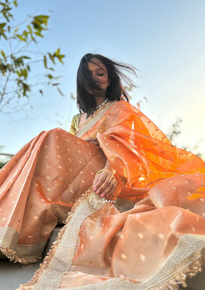 The Sunset Orange - Tissue Banarasi Silk from "The Rangeen Pitara" collection