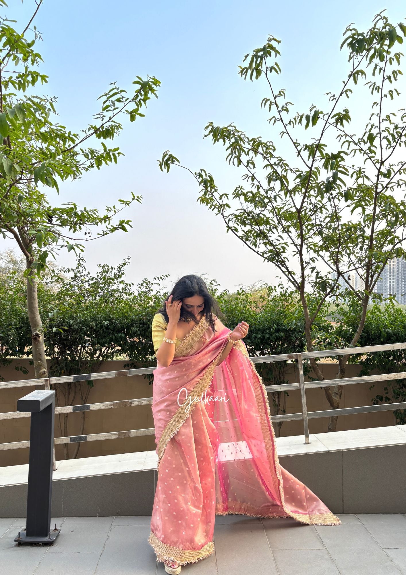 The Soft Blush Pink - Tissue Banarasi Silk from "The Rangeen Pitara" collection