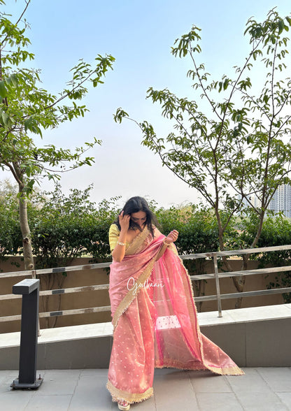 The Soft Blush Pink - Tissue Banarasi Silk from "The Rangeen Pitara" collection