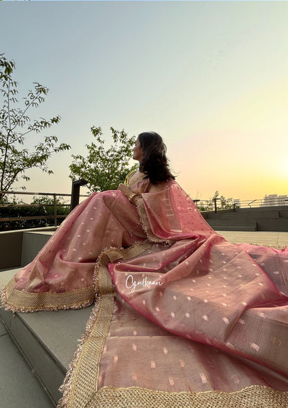The Soft Blush Pink - Tissue Banarasi Silk from "The Rangeen Pitara" collection