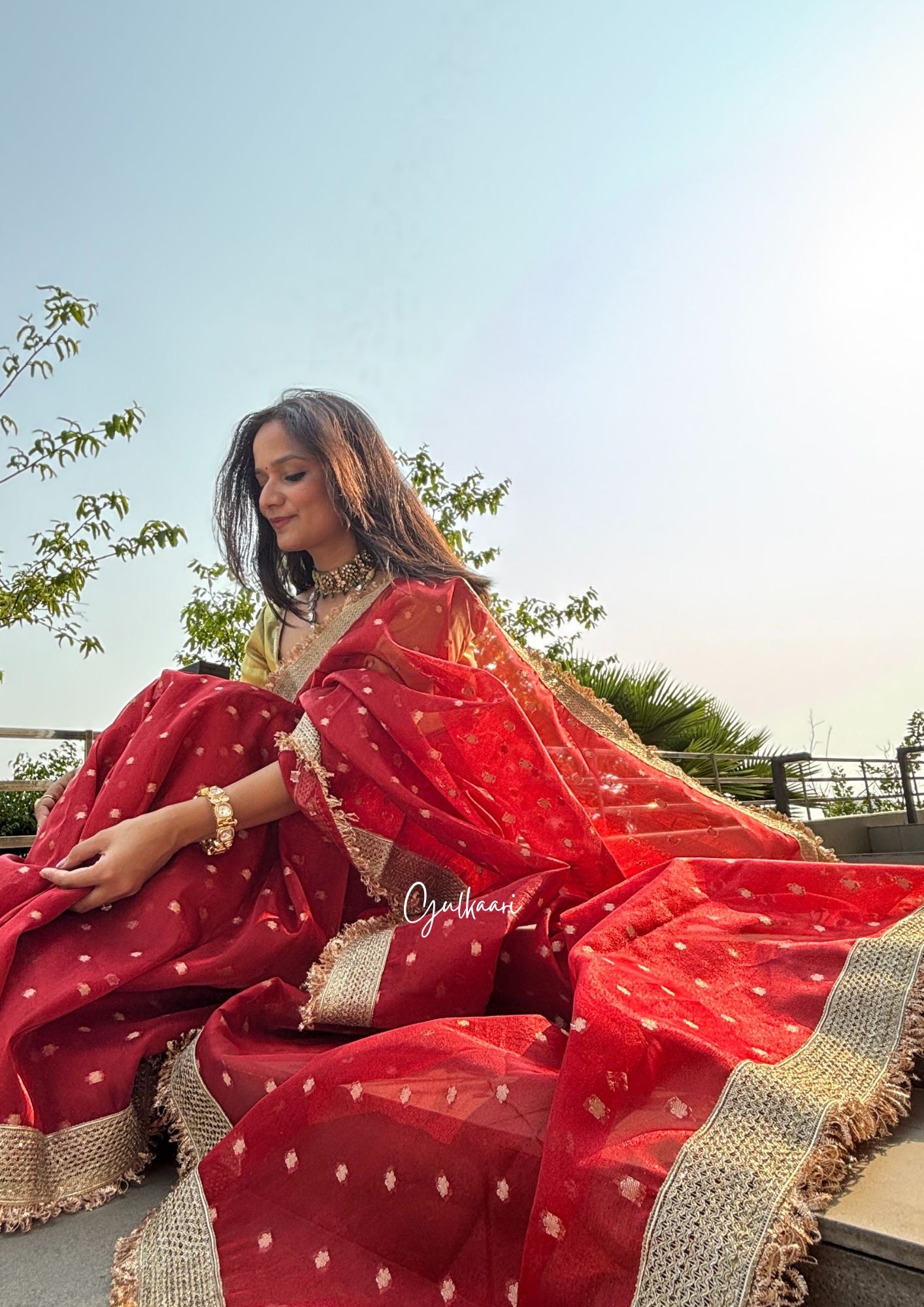 The Red - Tissue Banarasi Silk from "The Rangeen Pitara" collection