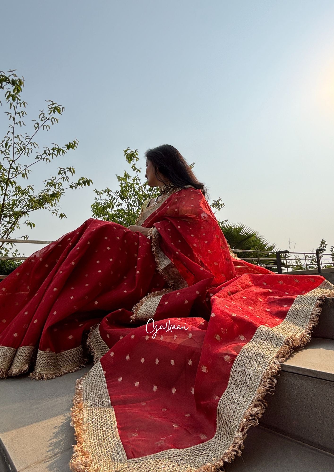 The Red - Tissue Banarasi Silk from "The Rangeen Pitara" collection