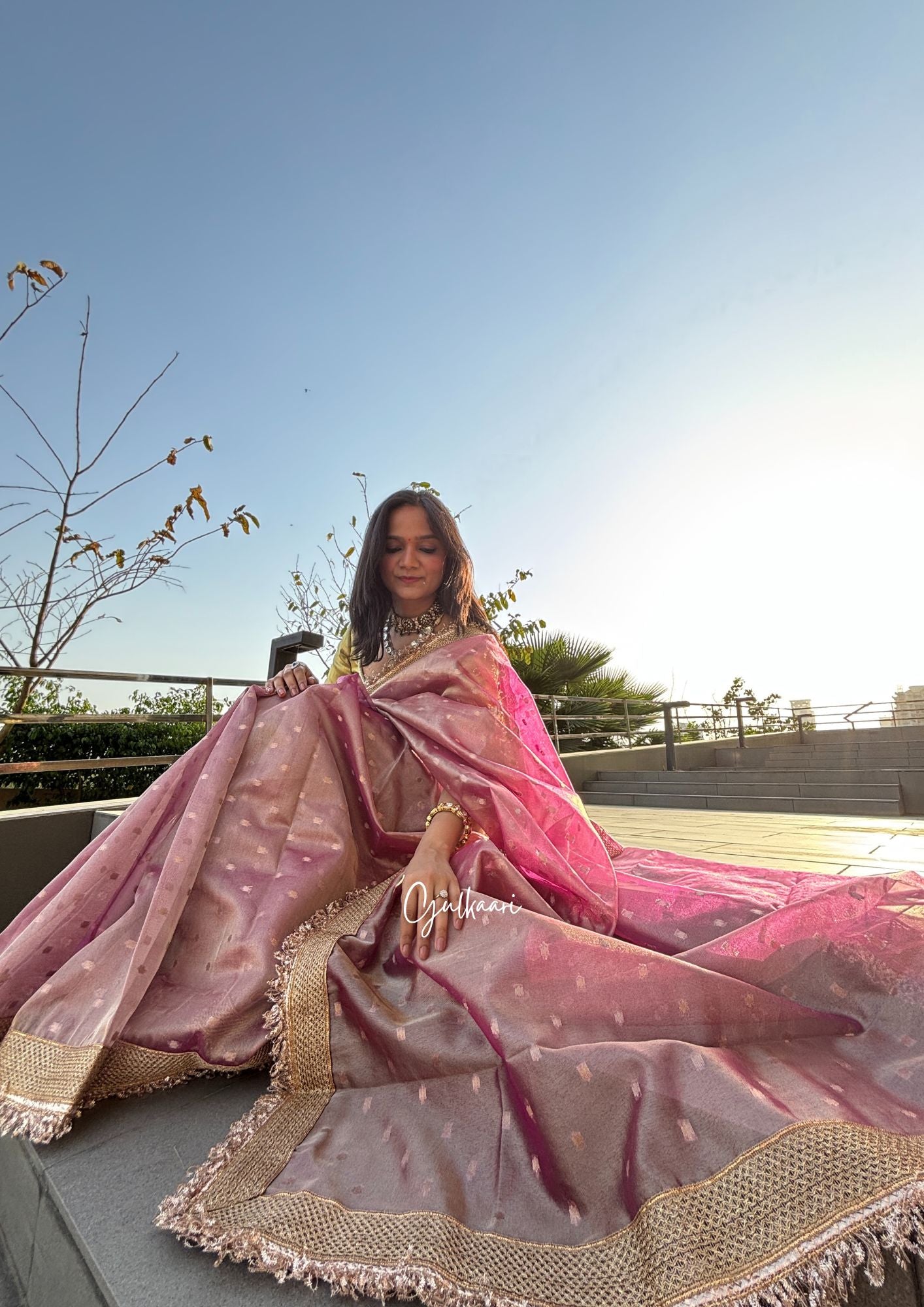 The Soft Lavender With Pink Hues- Tissue Banarasi Silk from "The Rangeen Pitara" collection