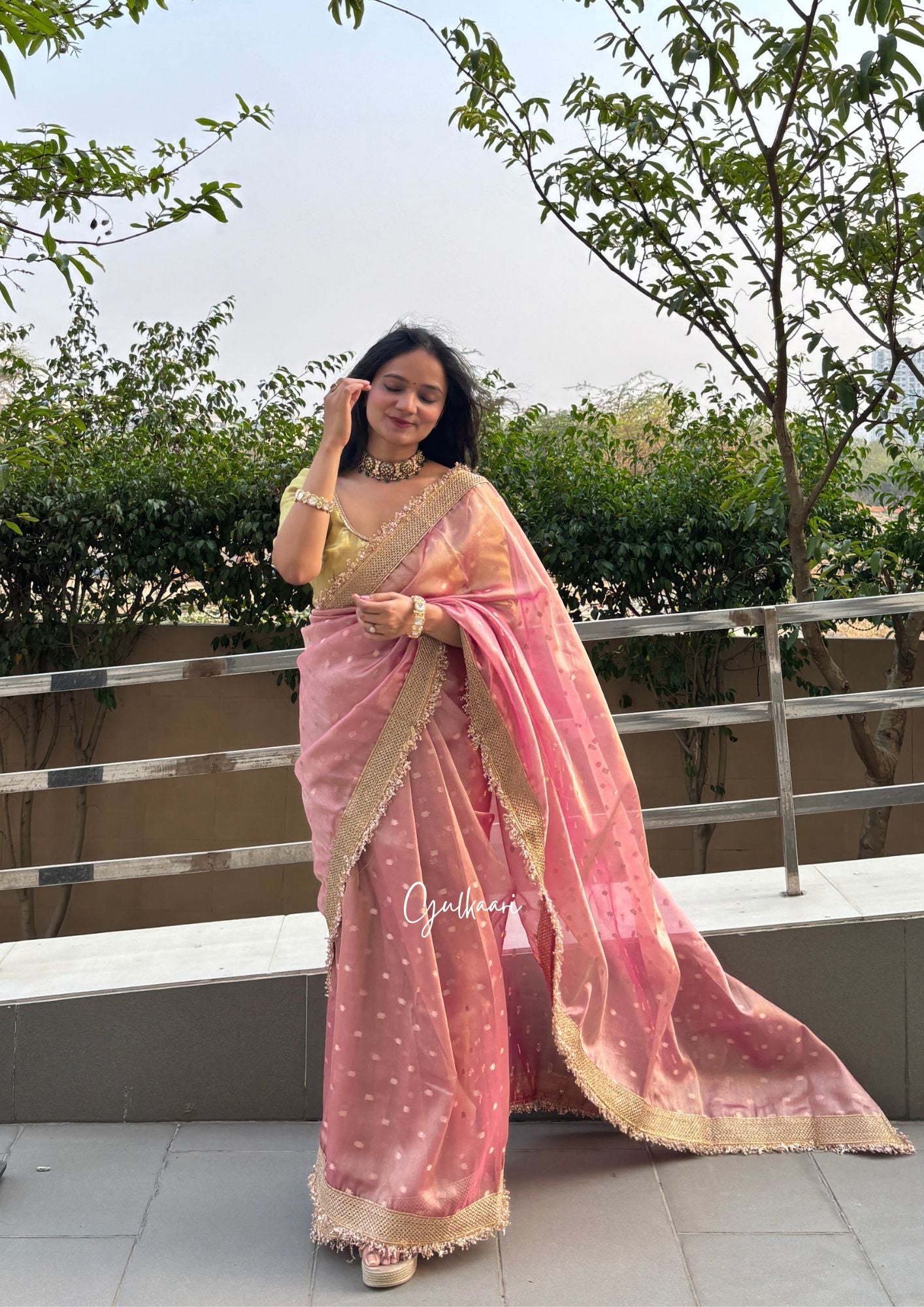 The Soft Blush Pink - Tissue Banarasi Silk from "The Rangeen Pitara" collection
