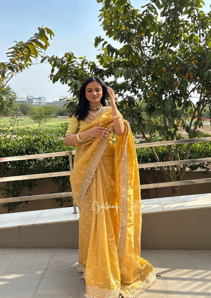 The Sunset Yellow - Tissue Banarasi Silk from "The Rangeen Pitara" collection