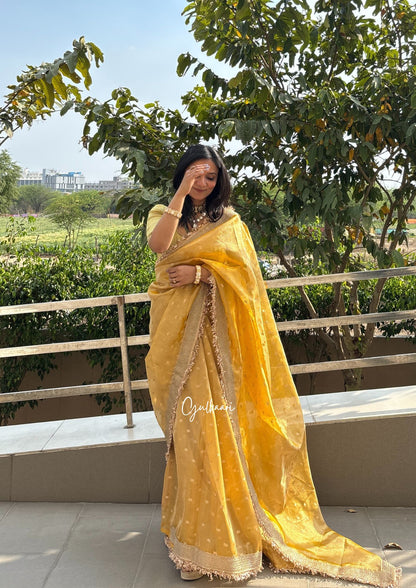 The Sunset Yellow - Tissue Banarasi Silk from "The Rangeen Pitara" collection