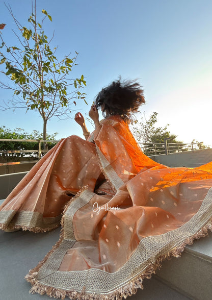 The Sunset Orange - Tissue Banarasi Silk from "The Rangeen Pitara" collection