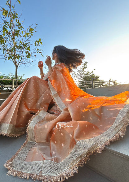 The Sunset Orange - Tissue Banarasi Silk from "The Rangeen Pitara" collection