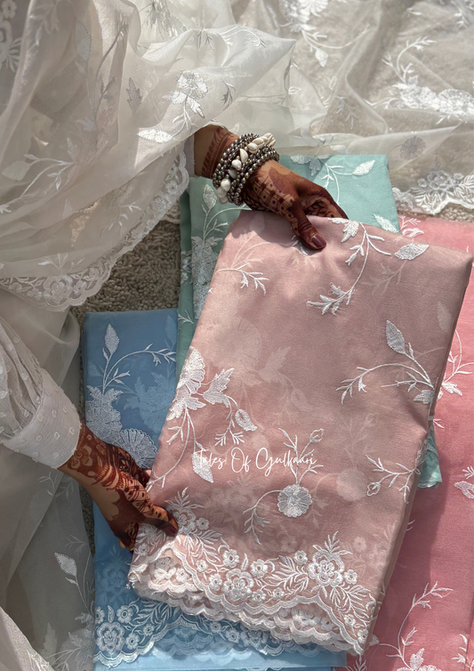 The Soft Brownish-Beige-Nude- Kora Organza Saree