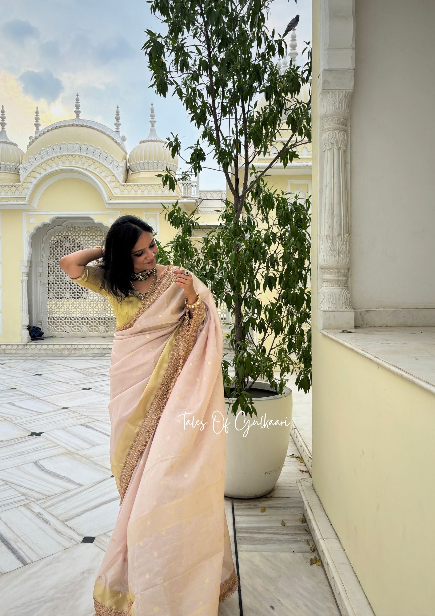The Beige - Soft Banarasi Silk from the Laal-Husn design with Gotappati lace work