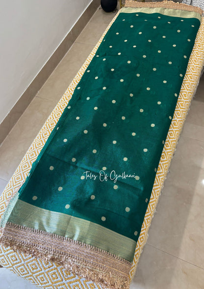 The Green - Soft Banarasi Silk from the Laal-Husn design with Gotappati lace work (Copy)