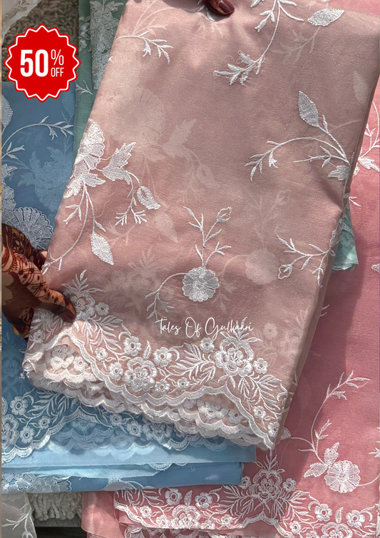 The Soft Brownish-Beige-Nude- Kora Organza Saree