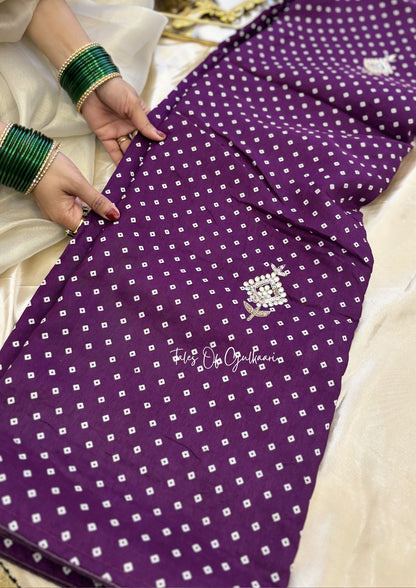 The Bandhej ~ Soft Uppada Silk Saree with Zari pallu ~ Purple