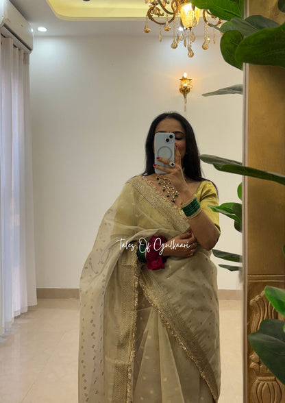 The Creamish - Tissue Banarasi Silk from "The Rangeen Pitara" collection