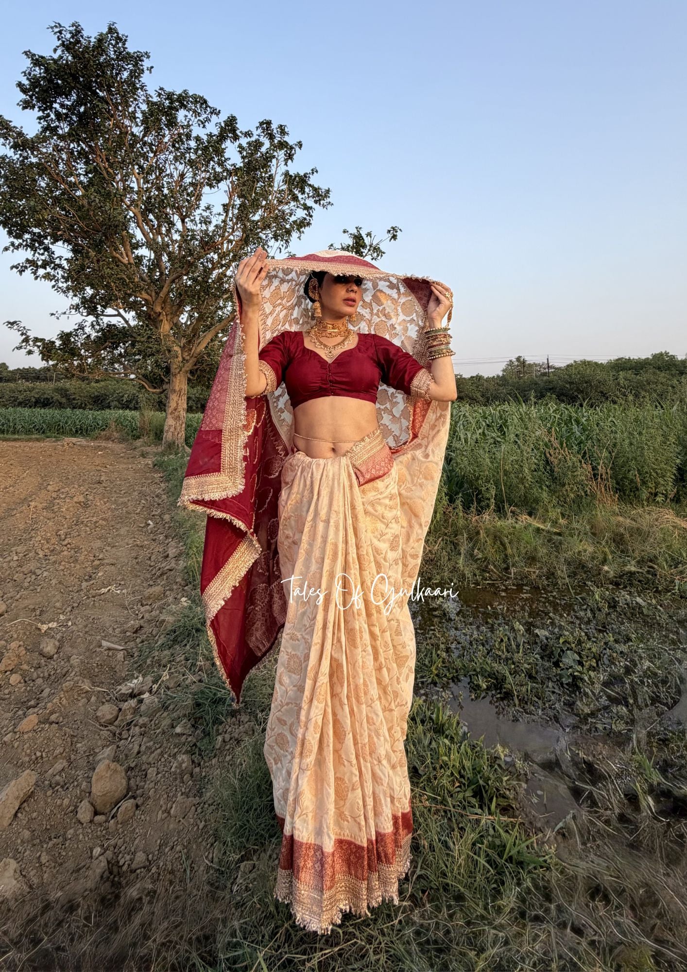 Phulkaari – Soft Banarasi Semi Khaddi Katan Georgette Silk Saree | Ivory & Deep Red